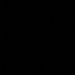 Meet your Posher, Tyson